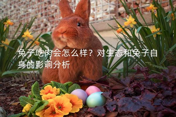 兔子吃肉会怎么样？对生态和兔子自身的影响分析