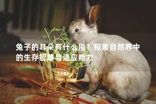 兔子的耳朵有什么用？探索自然界中的生存智慧与适应能力