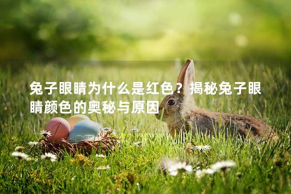 兔子眼睛为什么是红色？揭秘兔子眼睛颜色的奥秘与原因