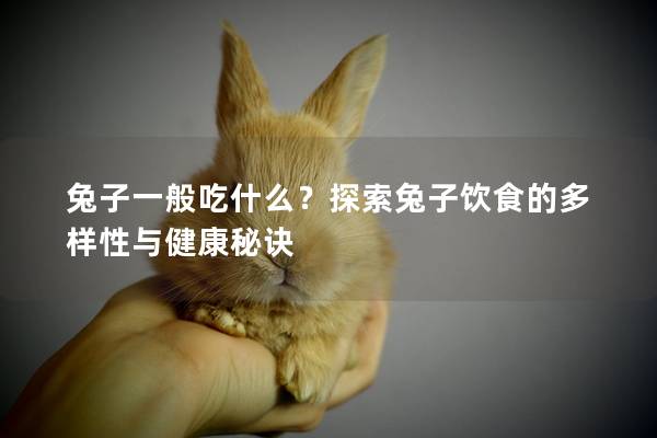 兔子一般吃什么？探索兔子饮食的多样性与健康秘诀