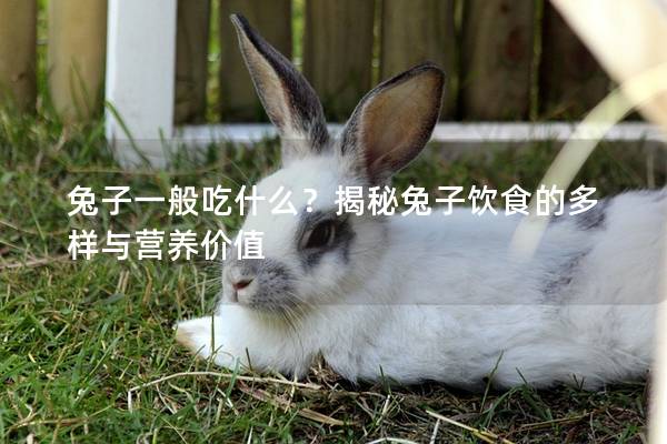 兔子一般吃什么？揭秘兔子饮食的多样与营养价值