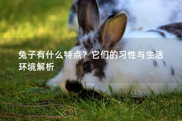 兔子有什么特点？它们的习性与生活环境解析