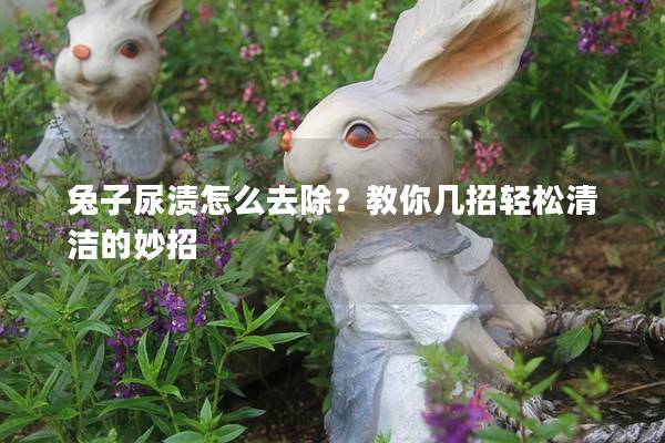 兔子尿渍怎么去除？教你几招轻松清洁的妙招