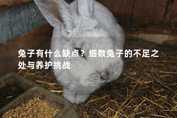 兔子有什么缺点？细数兔子的不足之处与养护挑战