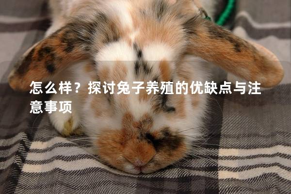 怎么样？探讨兔子养殖的优缺点与注意事项