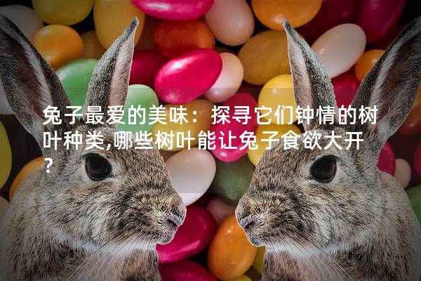 兔子最爱的美味：探寻它们钟情的树叶种类,哪些树叶能让兔子食欲大开？