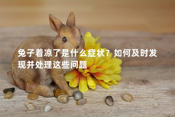 兔子着凉了是什么症状？如何及时发现并处理这些问题
