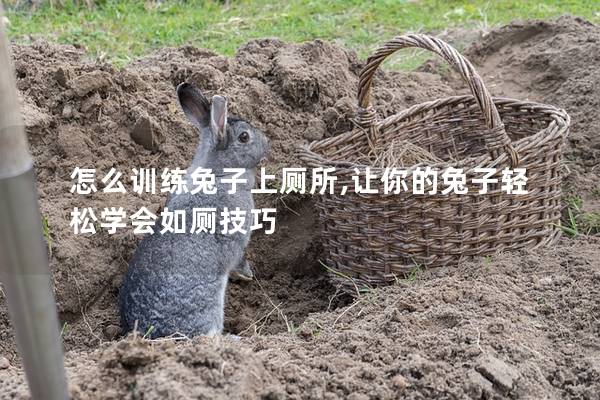 怎么训练兔子上厕所,让你的兔子轻松学会如厕技巧