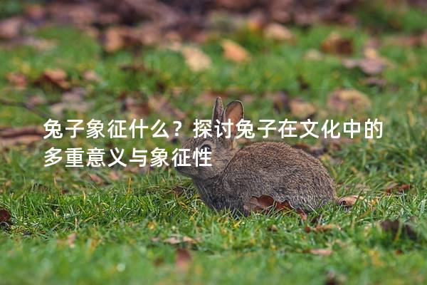兔子象征什么?探讨兔子在文化中的多重意义与象征性 兔子象征什么?探讨兔子在文化中的多重意义与象征性