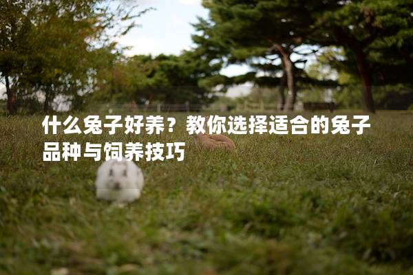 什么兔子好养？教你选择适合的兔子品种与饲养技巧