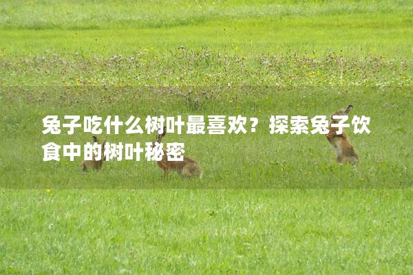 兔子吃什么树叶最喜欢？探索兔子饮食中的树叶秘密