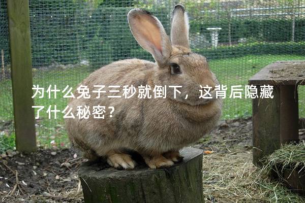 为什么兔子三秒就倒下，这背后隐藏了什么秘密？