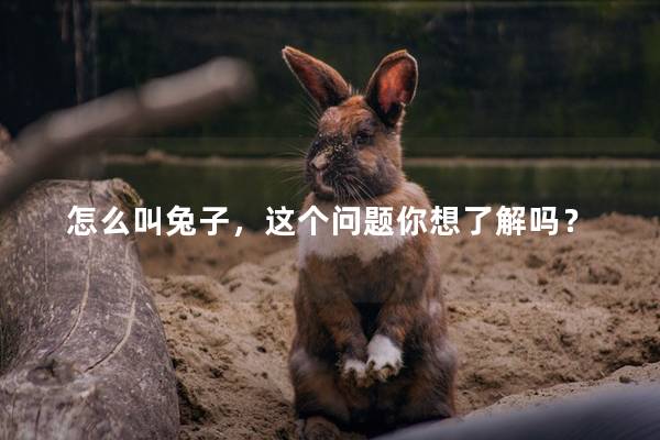 怎么叫兔子，这个问题你想了解吗？