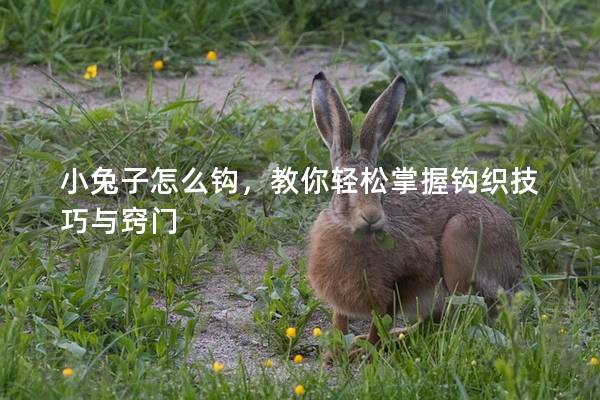 小兔子怎么钩，教你轻松掌握钩织技巧与窍门