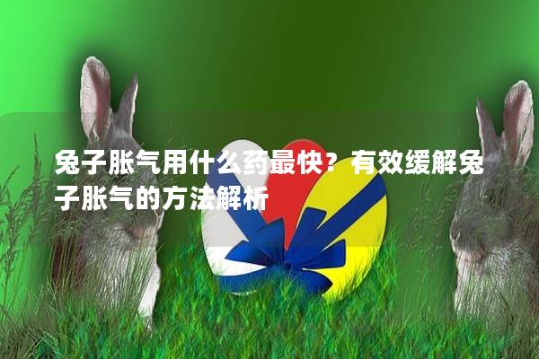 兔子胀气用什么药最快？有效缓解兔子胀气的方法解析