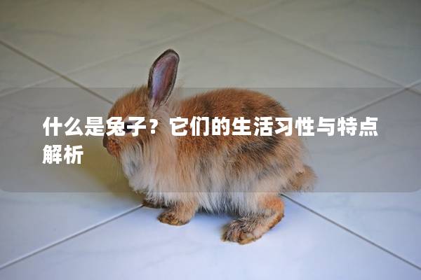 什么是兔子？它们的生活习性与特点解析