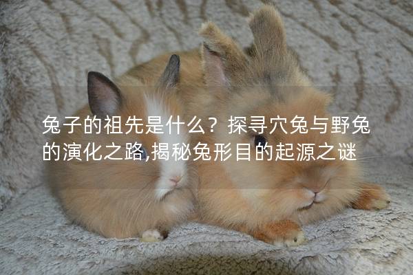兔子的祖先是什么？探寻穴兔与野兔的演化之路,揭秘兔形目的起源之谜