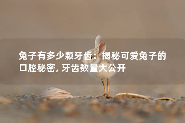 兔子有多少颗牙齿：揭秘可爱兔子的口腔秘密, 牙齿数量大公开