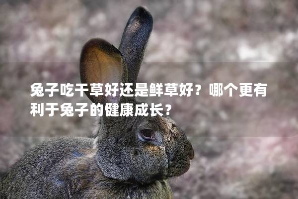 兔子吃干草好还是鲜草好？哪个更有利于兔子的健康成长？