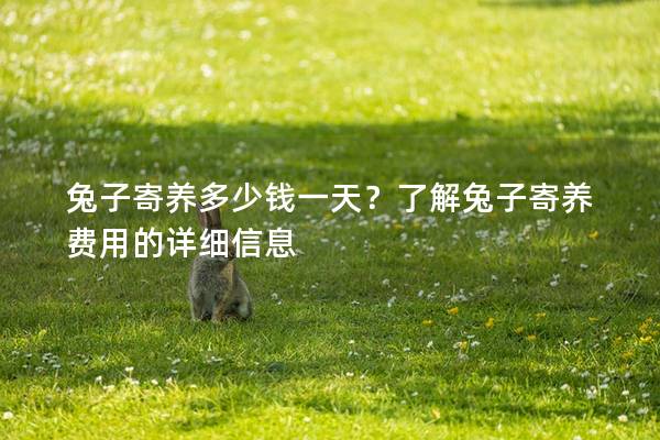 兔子寄养多少钱一天？了解兔子寄养费用的详细信息