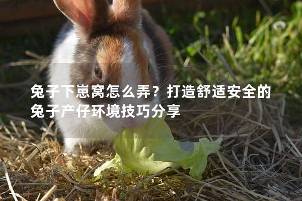 兔子下崽窝怎么弄？打造舒适安全的兔子产仔环境技巧分享