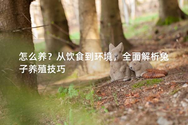 怎么养？从饮食到环境，全面解析兔子养殖技巧