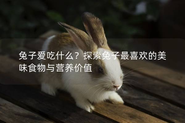 兔子爱吃什么？探索兔子最喜欢的美味食物与营养价值