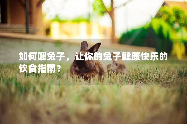 如何喂兔子，让你的兔子健康快乐的饮食指南？