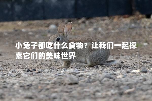 小兔子都吃什么食物？让我们一起探索它们的美味世界