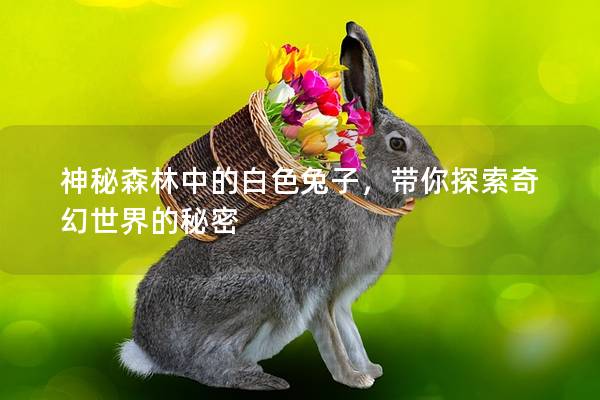 神秘森林中的白色兔子，带你探索奇幻世界的秘密