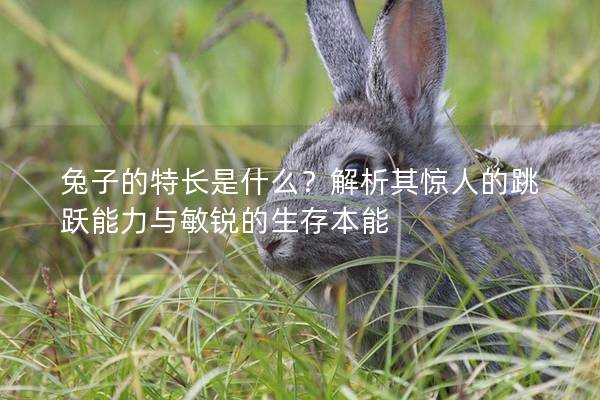 兔子的特长是什么？解析其惊人的跳跃能力与敏锐的生存本能