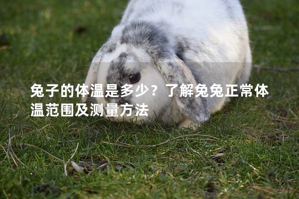 兔子的体温是多少？了解兔兔正常体温范围及测量方法