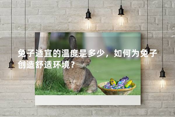 兔子适宜的温度是多少，如何为兔子创造舒适环境？