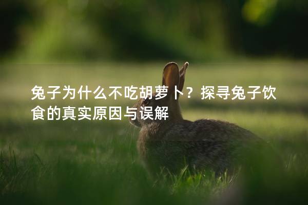 兔子为什么不吃胡萝卜？探寻兔子饮食的真实原因与误解