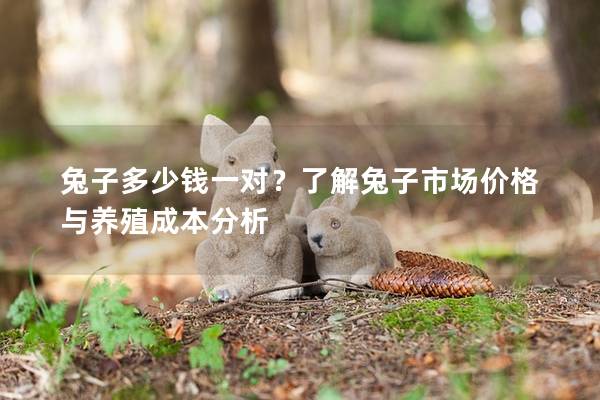 兔子多少钱一对？了解兔子市场价格与养殖成本分析