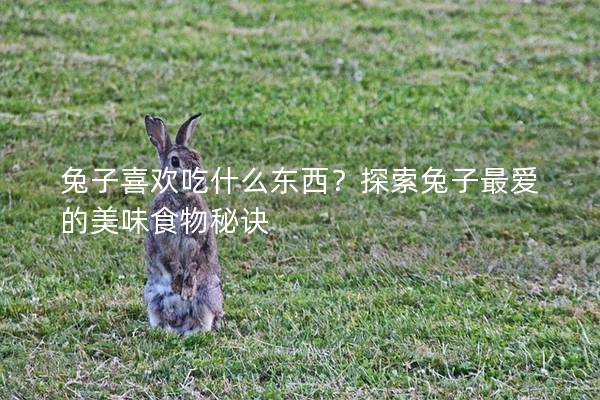 兔子喜欢吃什么东西？探索兔子最爱的美味食物秘诀