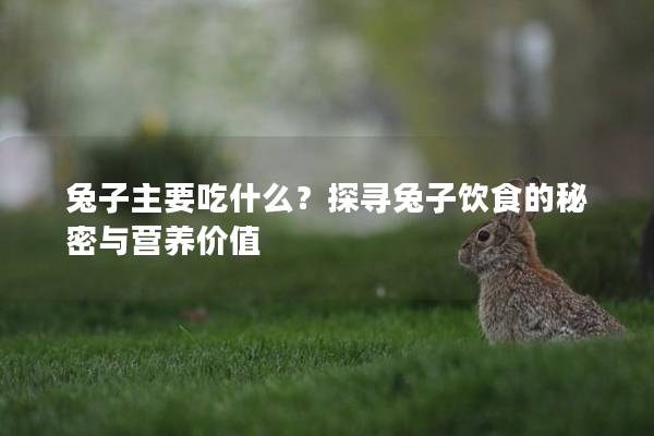 兔子主要吃什么？探寻兔子饮食的秘密与营养价值