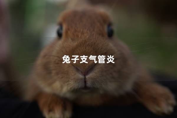 兔子支气管炎
