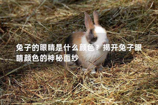 兔子的眼睛是什么颜色？揭开兔子眼睛颜色的神秘面纱
