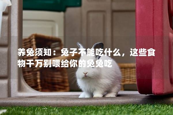 养兔须知：兔子不能吃什么，这些食物千万别喂给你的兔兔吃