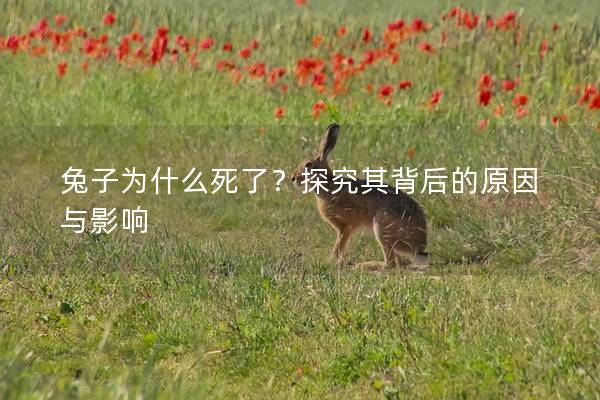 兔子为什么死了？探究其背后的原因与影响
