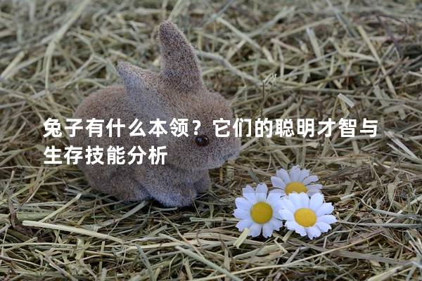 兔子有什么本领？它们的聪明才智与生存技能分析
