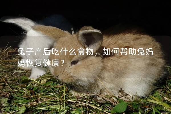 兔子产后吃什么食物，如何帮助兔妈妈恢复健康？