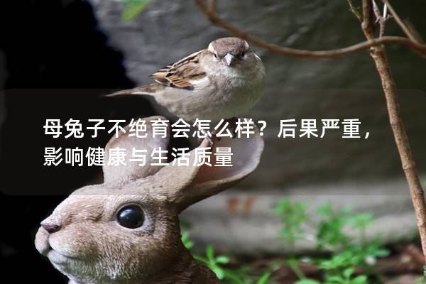母兔子不绝育会怎么样？后果严重，影响健康与生活质量