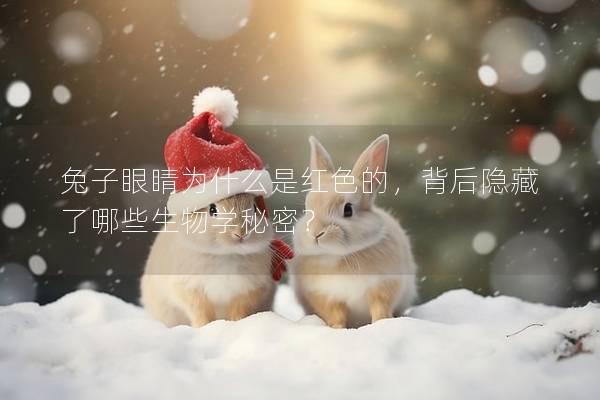 兔子眼睛为什么是红色的，背后隐藏了哪些生物学秘密？