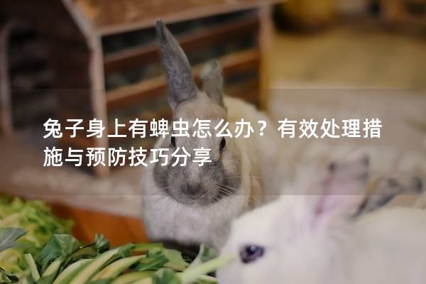 兔子身上有蜱虫怎么办？有效处理措施与预防技巧分享