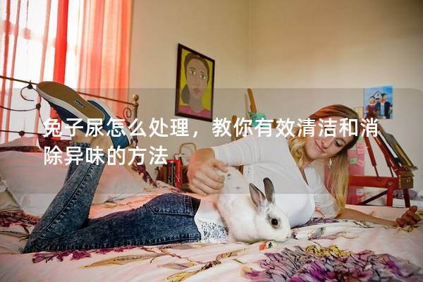 兔子尿怎么处理，教你有效清洁和消除异味的方法