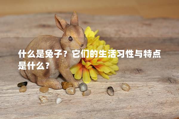 什么是兔子？它们的生活习性与特点是什么？