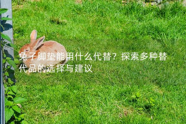 兔子脚垫能用什么代替？探索多种替代品的选择与建议