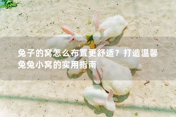 兔子的窝怎么布置更舒适？打造温馨兔兔小窝的实用指南